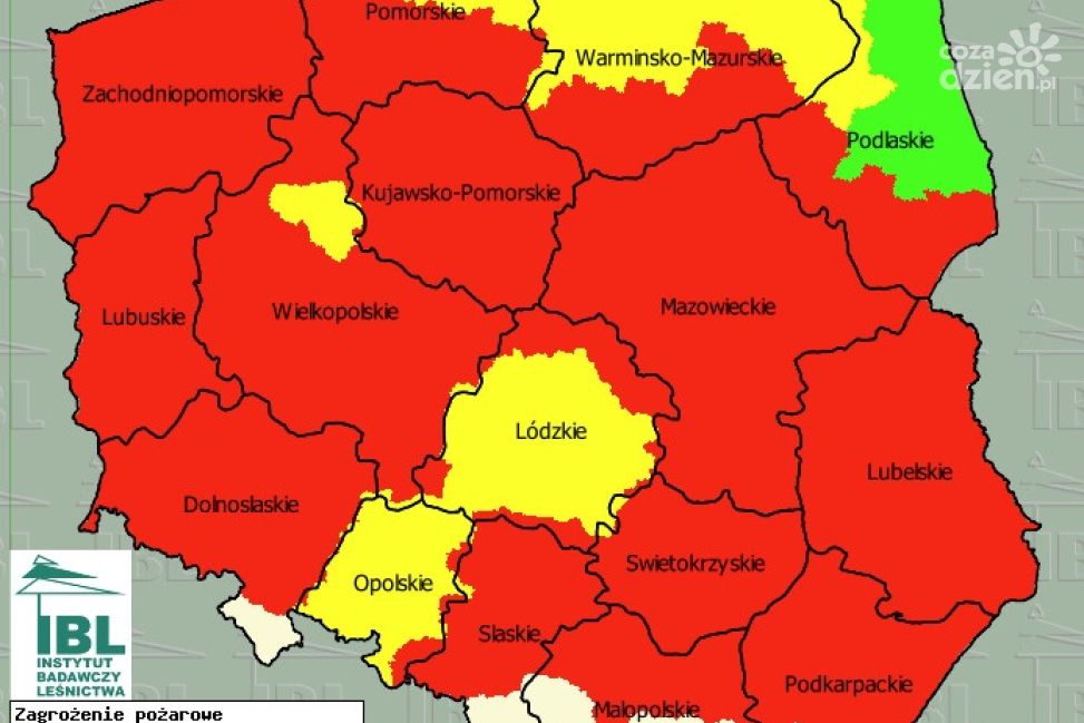 Wysokie zagrożenie pożarowe w lasach. Tysiące interwencji i apel o ostrożność