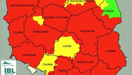 Wysokie zagrożenie pożarowe w lasach. Tysiące interwencji i apel o ostrożność