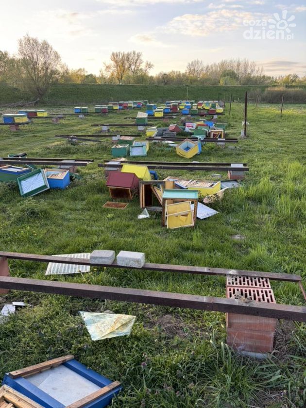 Akt wandalizmu w Tarnobrzegu. Zniszczono część pasieki przy ul. Żabiej