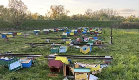 Akt wandalizmu w Tarnobrzegu. Zniszczono część pasieki przy ul. Żabiej