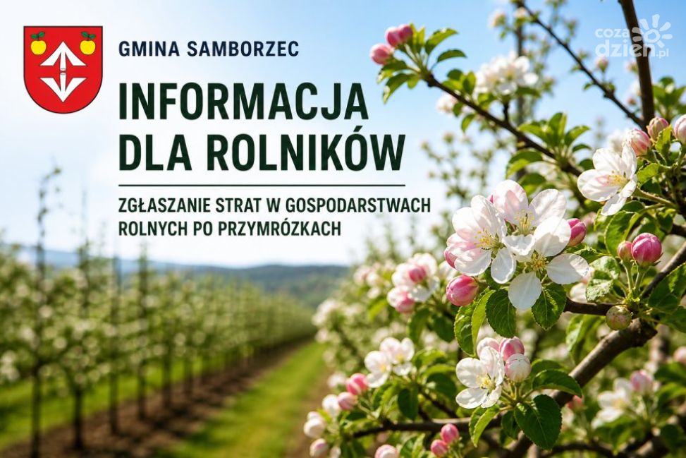 Rolnicy z gminy Samborzec mogą zgłaszać straty po wiosennych przymrozkach