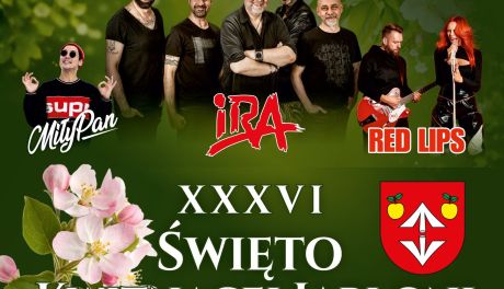 Samborzec zaprasza na XXXVI Święto Kwitnącej Jabłoni