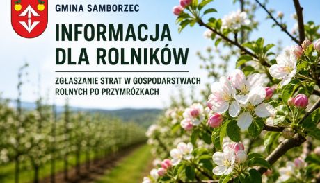 Rolnicy z gminy Samborzec mogą zgłaszać straty po wiosennych przymrozkach