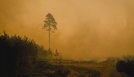 Pożar lasu w województwie lubelskim. Do akcji ruszyła kompania „KIELCE”
