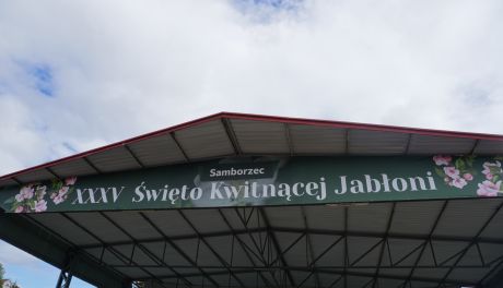 XXXVI Święto Kwitnącej Jabłoni w Samborcu. Gwiazdy, tradycja i rodzinne atrakcje