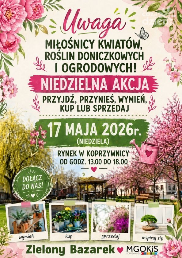 Zielony Bazarek w Koprzywnicy. Spotkanie miłośników roślin na rynku miejskim