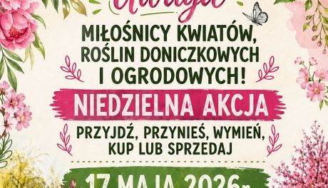 Zielony Bazarek w Koprzywnicy. Spotkanie miłośników roślin na rynku miejskim
