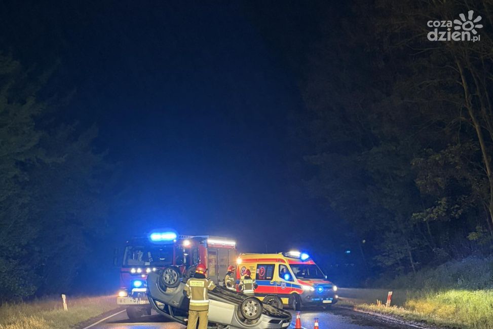 Dachowanie na DK79 w Łukawie. 39-letnia kierująca była pijana