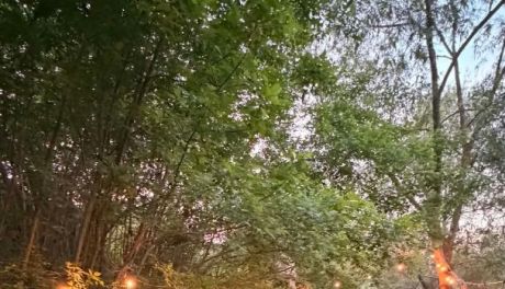 Zawichojska Noc Muzeów mimo przeciwności. Wspólnota i kultura silniejsze niż pogoda