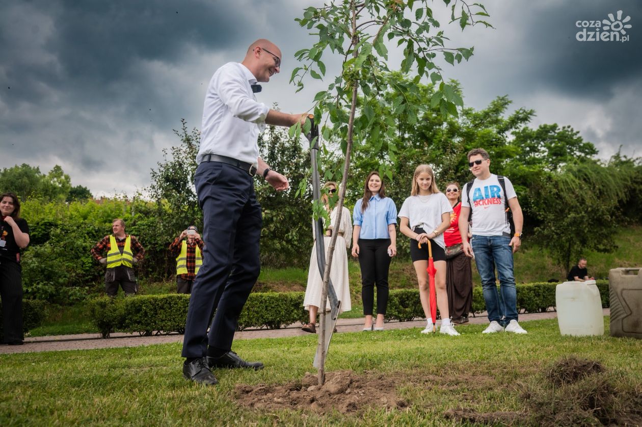 W Sandomierzu powstanie Aleja „NieZwykła”? To hołd dla festiwalu z ponad 20-letnią tradycją