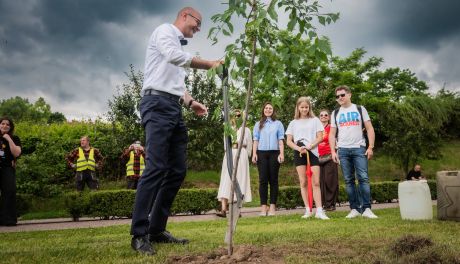 W Sandomierzu powstanie Aleja „NieZwykła”? To hołd dla festiwalu z ponad 20-letnią tradycją