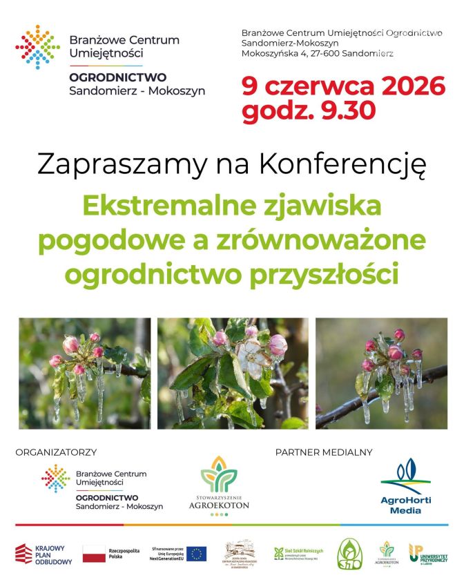 Przyszłość sadownictwa pod lupą. Ważna konferencja w Sandomierzu