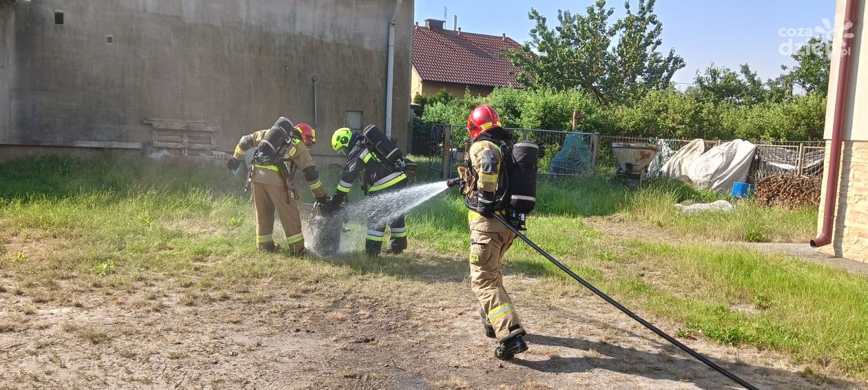 Pożar butli gazowej w Pęchowie. Interwencja straży pożarnej, dwie osoby trafiły do szpitala