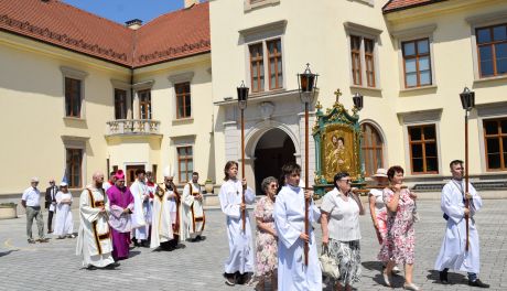 350 lat dominikanów w Tarnobrzegu. Wielkie uroczystości w Dzikowie
