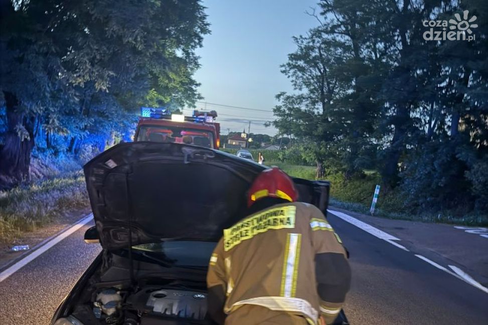 Wypadek dwóch samochodów na DK79 w Łoniowie-Kolonii. Dwie osoby trafiły do szpitala