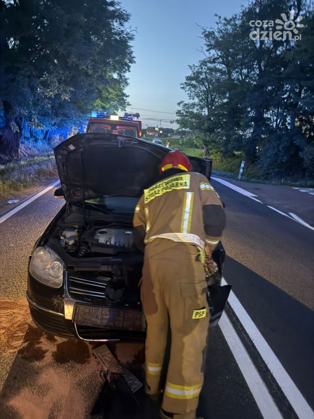 Wypadek dwóch samochodów na DK79 w Łoniowie-Kolonii. Dwie osoby trafiły do szpitala