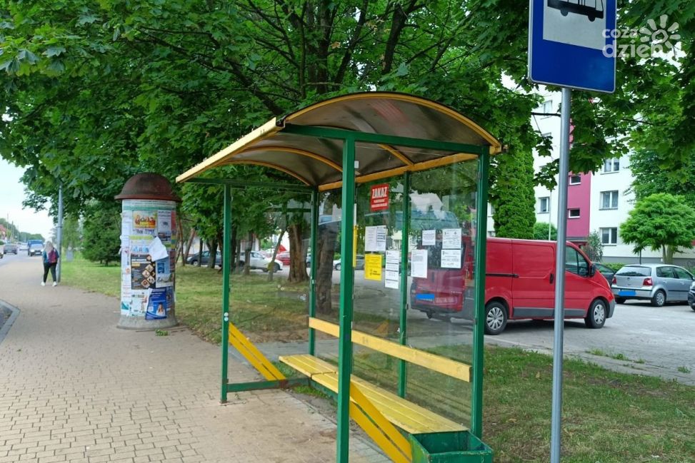 Sandomierz chce kolejnych zielonych wiat przystankowych. Ponad 20 nowych konstrukcji w planach