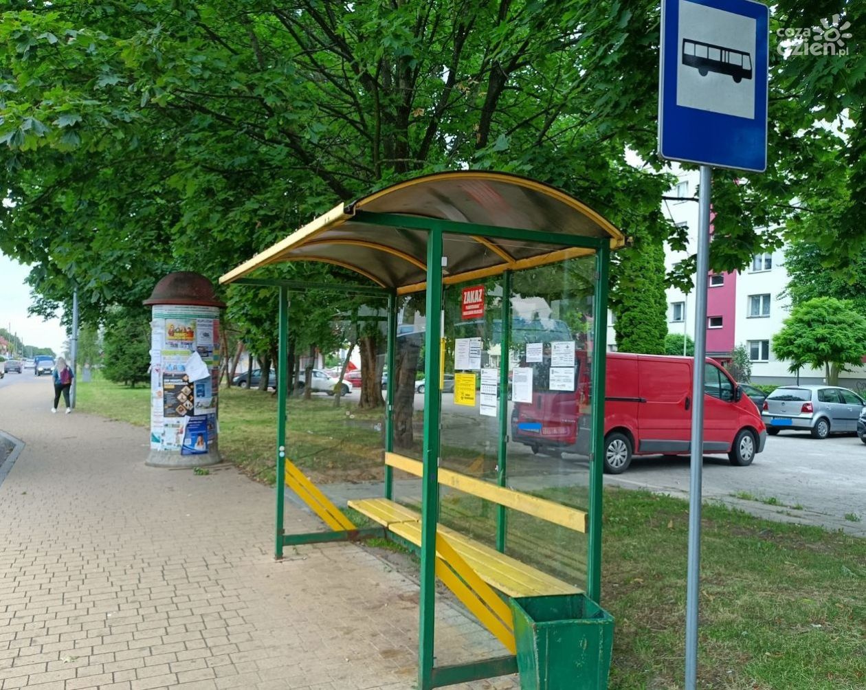Sandomierz chce kolejnych zielonych wiat przystankowych. Ponad 20 nowych konstrukcji w planach