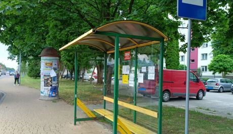 Sandomierz chce kolejnych zielonych wiat przystankowych. Ponad 20 nowych konstrukcji w planach