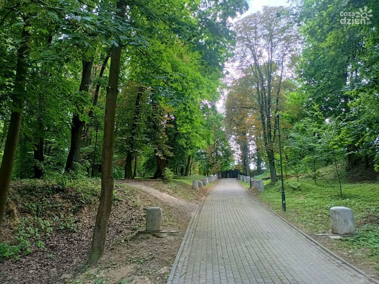 Sandomierz planuje nowe parki kieszonkowe i przebudowę Parku Piszczele. Miasto chce także zatrzymywać wodę opadową