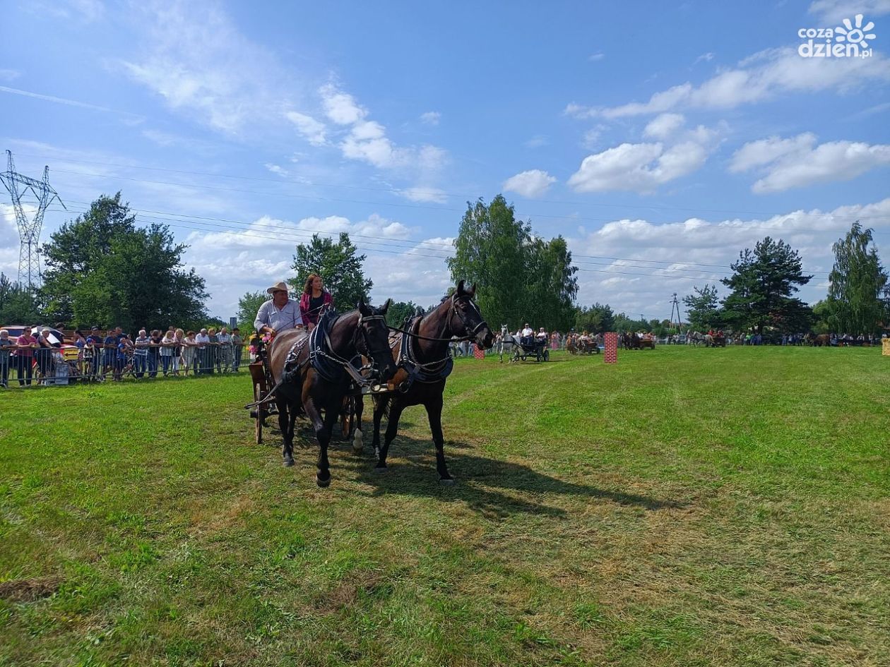 IX Zlot Furmanek w Furmanach. Konie, tradycja i rodzinny piknik już 2 sierpnia