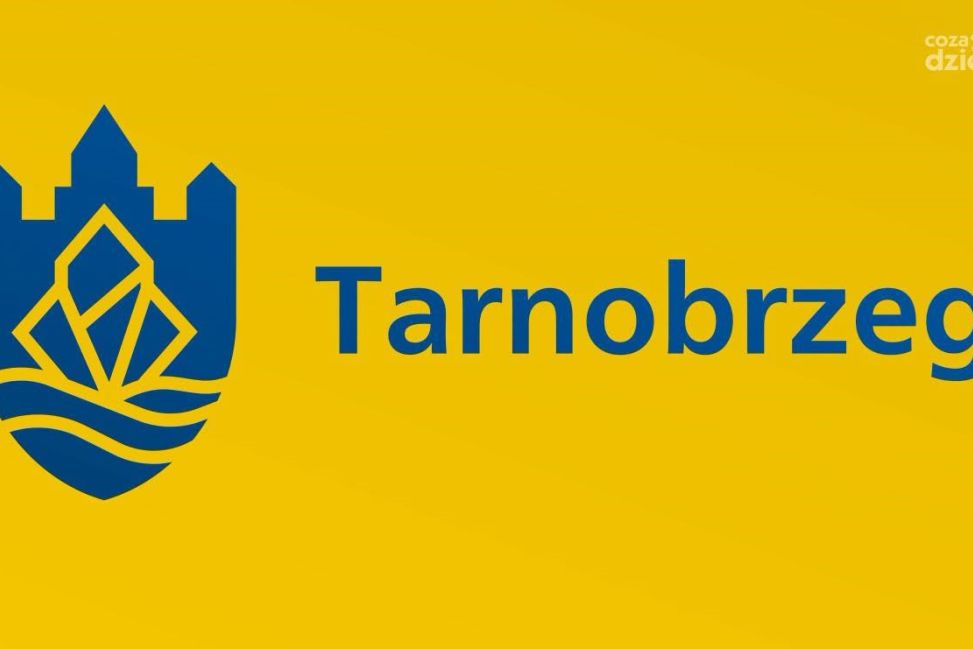 Alternatywne logo wybrane. Co na to samorząd miasta?