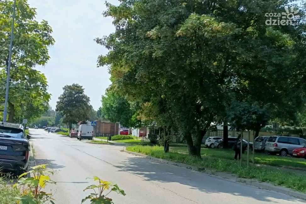 Ulica Armii Krajowej w Sandomierzu czeka na remont. Powiat chce pozyskać środki z Rządowego Funduszu Rozwoju Dróg