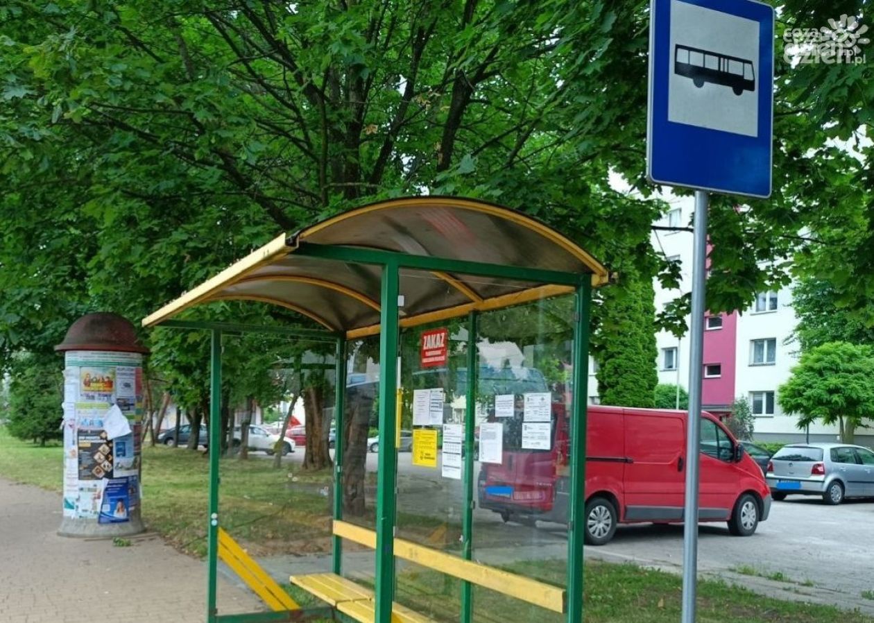 Sandomierz zyska nowe połączenia autobusowe? Powiat chce uruchomić kursy do Kielc, Stalowej Woli i Annopola