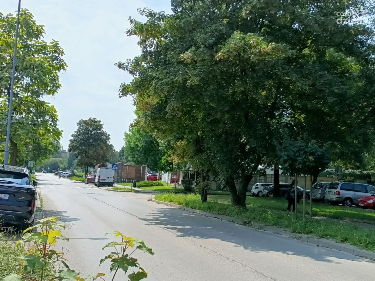 Ulica Armii Krajowej w Sandomierzu czeka na remont. Powiat chce pozyskać środki z Rządowego Funduszu Rozwoju Dróg