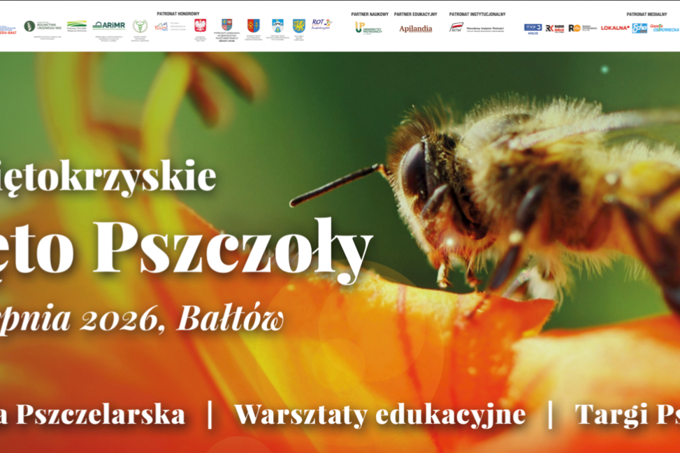 Pszczelarze spotkają się w Bałtowie. Konferencja pełna wiedzy i nowoczesnych rozwiązań
