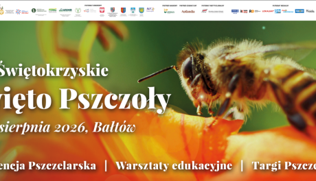 Pszczelarze spotkają się w Bałtowie. Konferencja pełna wiedzy i nowoczesnych rozwiązań