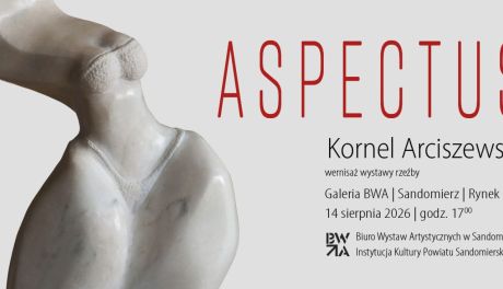 Człowiek, emocje i pamięć w kamieniu. W Sandomierzu wystawa rzeźb Kornela Arciszewskiego