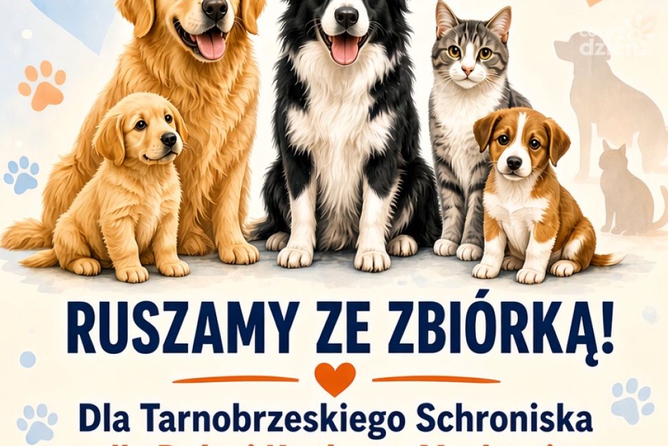 Pomóż zapełnić miski. Zbiórka karmy dla zwierząt z tarnobrzeskiego schroniska
