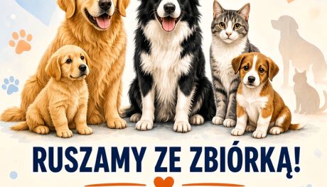Pomóż zapełnić miski. Zbiórka karmy dla zwierząt z tarnobrzeskiego schroniska