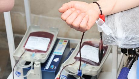 W Klimontowie będzie można oddać krew. Akcja już 15 sierpnia