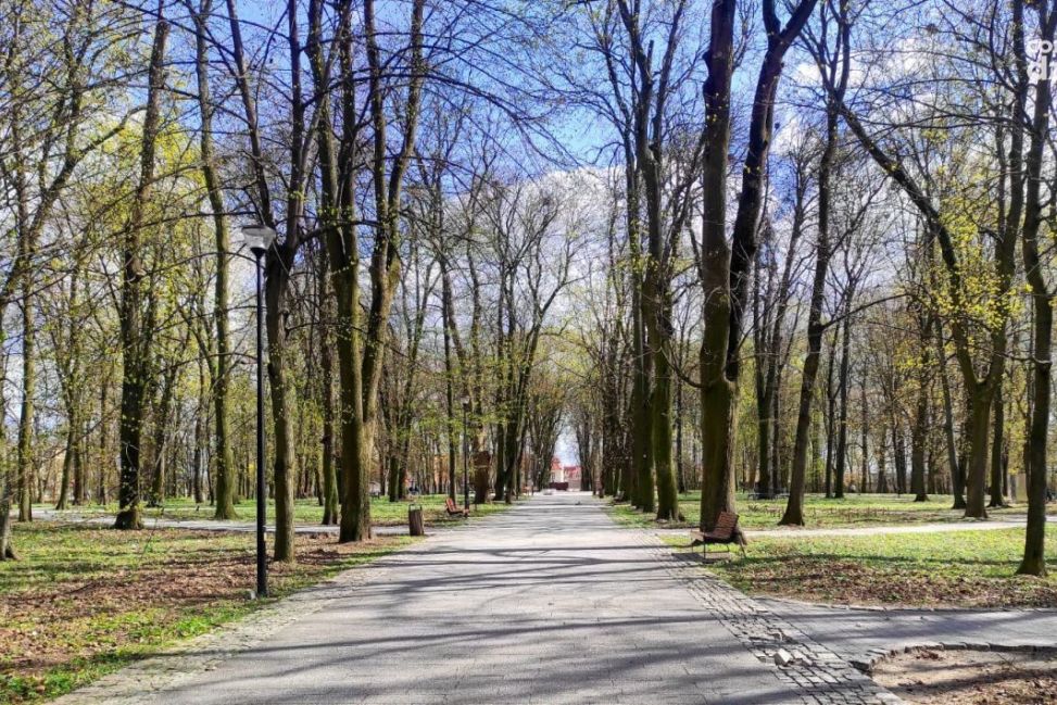 Główna aleja sandomierskiego parku może otrzymać imię Pierwszego Korpusu