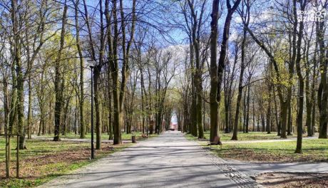 Główna aleja sandomierskiego parku może otrzymać imię Pierwszego Korpusu