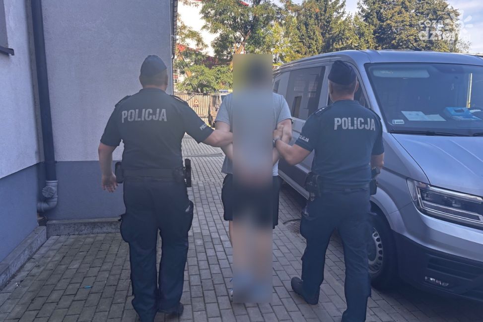 Seria podpaleń w Nowej Dębie. 30-latek podejrzany o podpalenie 10 pojemników i wiaty śmietnikowej trafił do aresztu