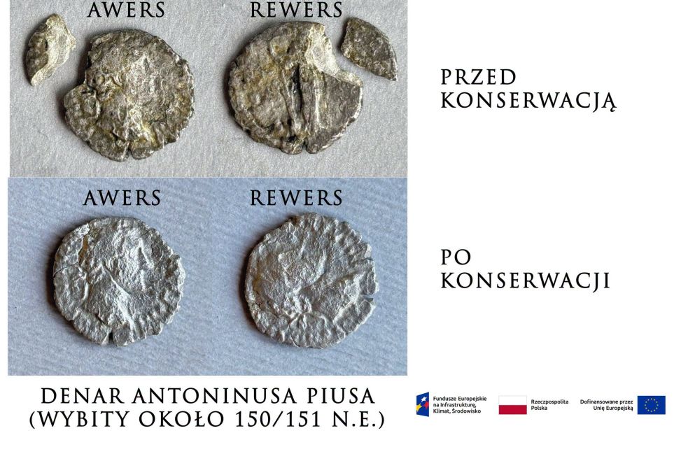Monety rzymskie wróciły z konserwacji. Można je ponownie oglądać w Muzeum Zamkowym