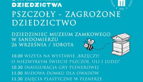 Europejskie Dni Dziedzictwa na Zamku w Sandomierzu. W programie pszczoły i zajęcia plenerowe