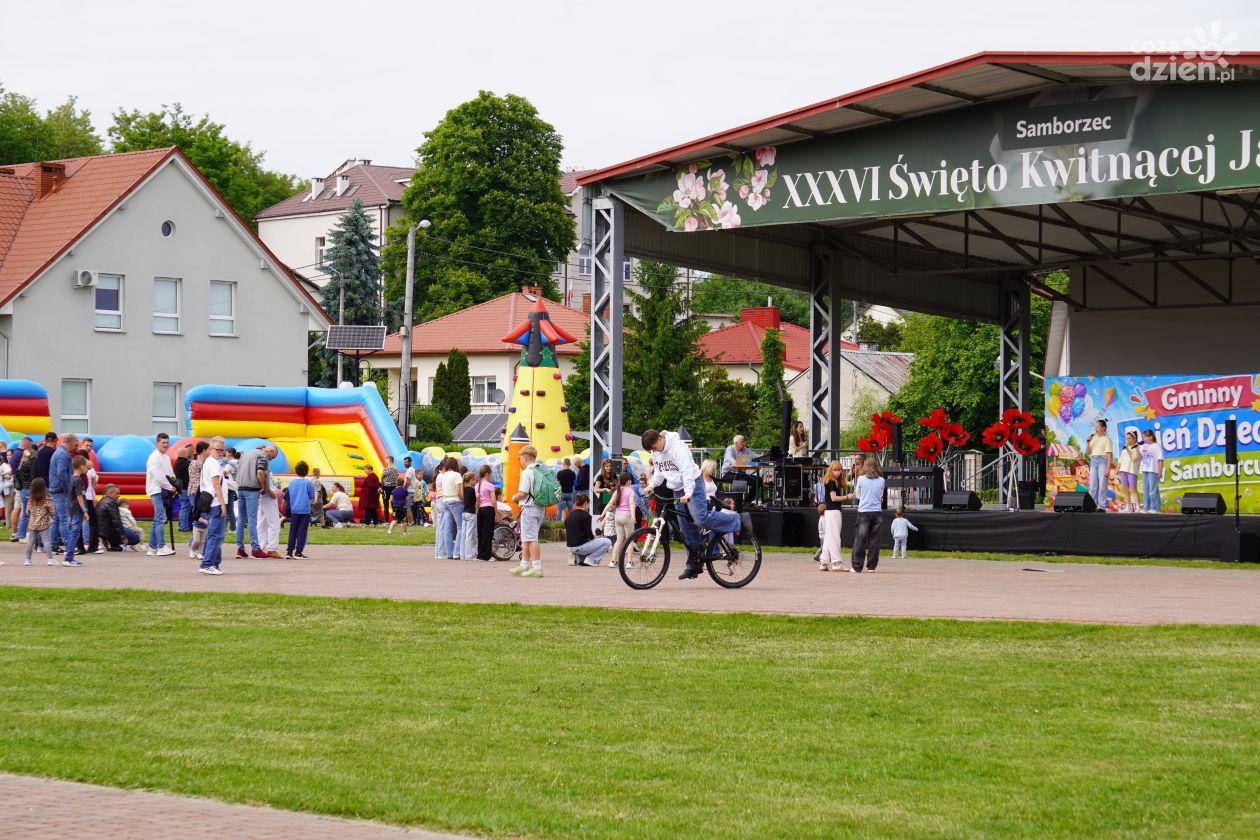 Gminny Dzień Dziecka w Samborcu. Tłumy uczestników i zbiórka dla Karolinki